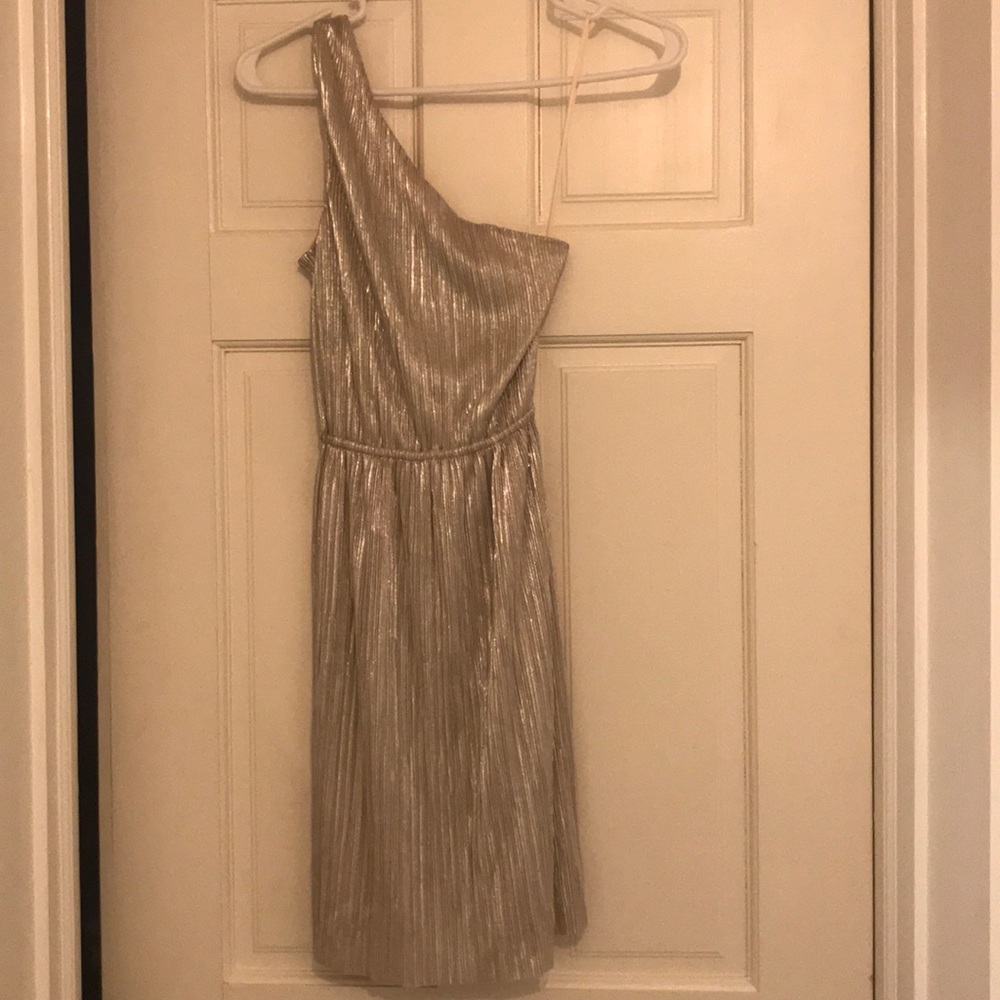 Express Silver Dress